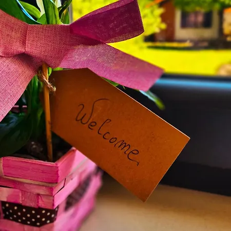 Maella Garden בית הארחה זאדאר