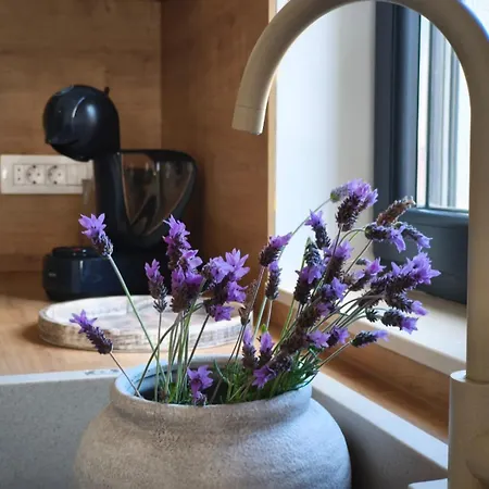 Maella Garden בית הארחה