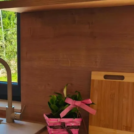 Gasthuis Maella Garden *